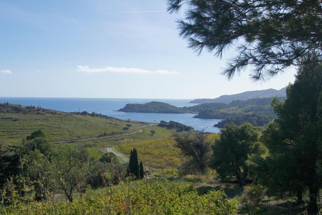 Kazadiza Superbe T4, Classe 3 Etoiles, Sur Le Port Port Vendres Dış mekan fotoğraf